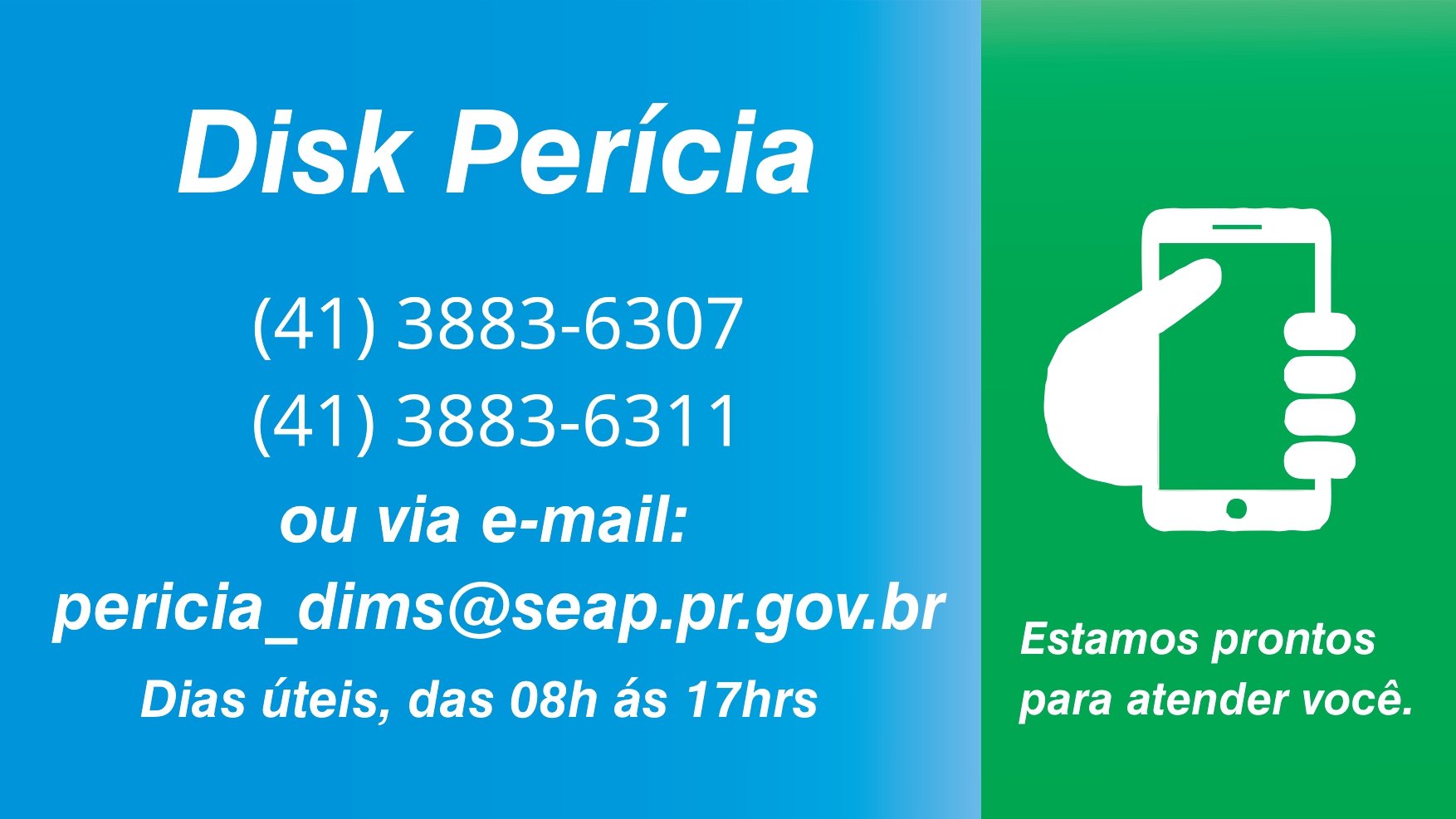 DISK PERICIA