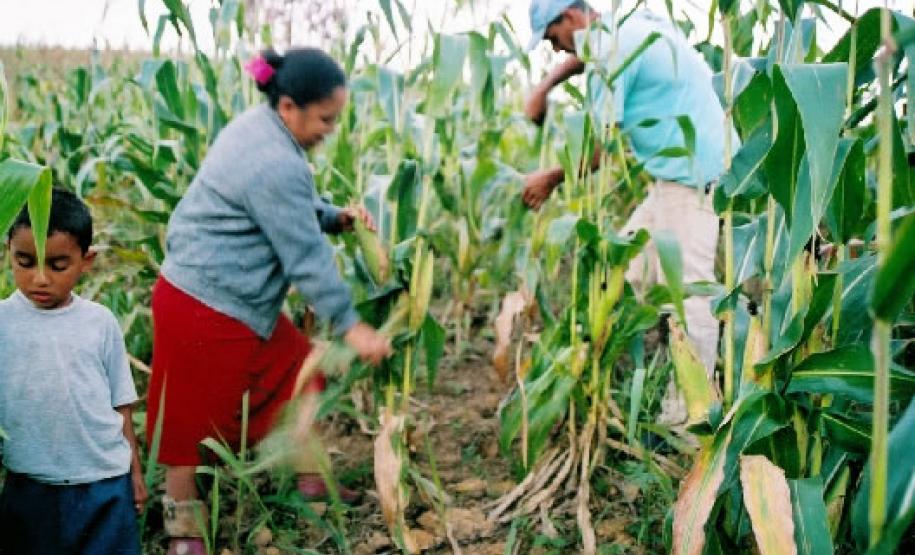 Na foto, os agricultores quilombolas: Juventino Rodrigues de Castro, nascido a 23 de outubro de 1972, e sua esposa Maria Batista de Castro , nascida, na comunidade, em 30 de janeiro de 1975, e seu filho Lucas Rodrigues de Castro, ambos nascidos e criados na comunidade.Pesquisa : Cristina de SouzaFoto: F. Castro
